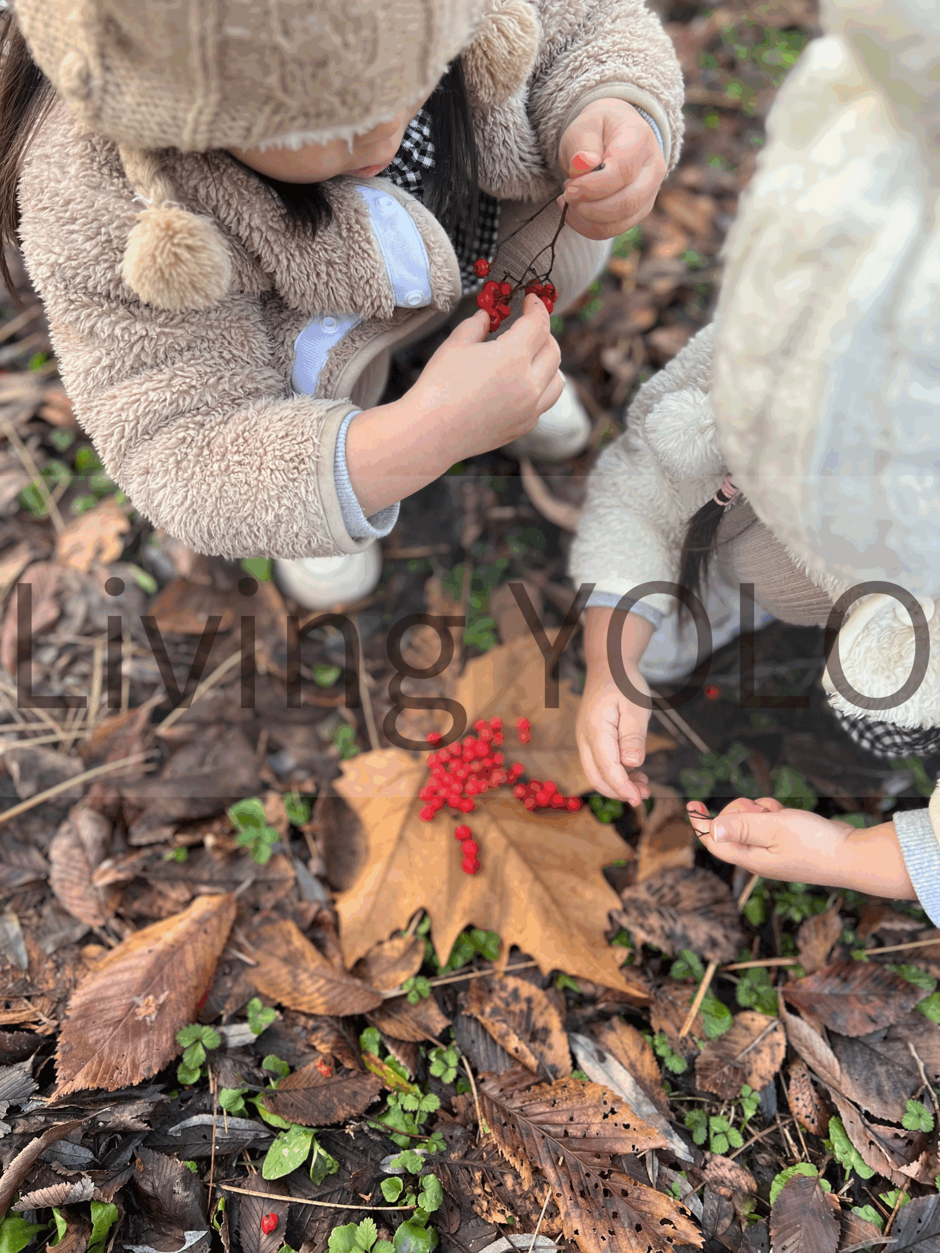 北海道三人育児、毎日が冒険！外遊び多めの我が家のリアルな暮らし